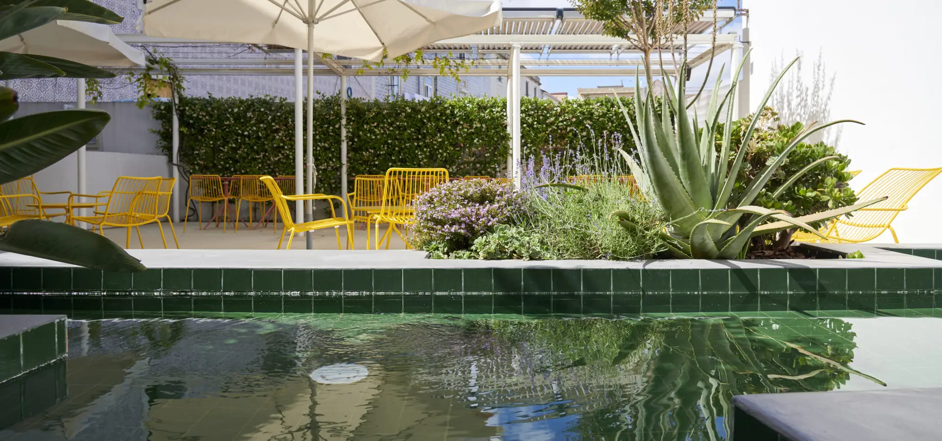 onj_DSC8666-2197x1030